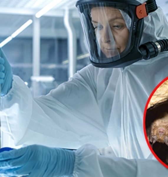 Fauci gives $3.7 million to China