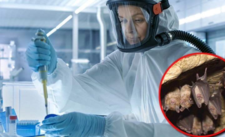 Fauci gives $3.7 million to China