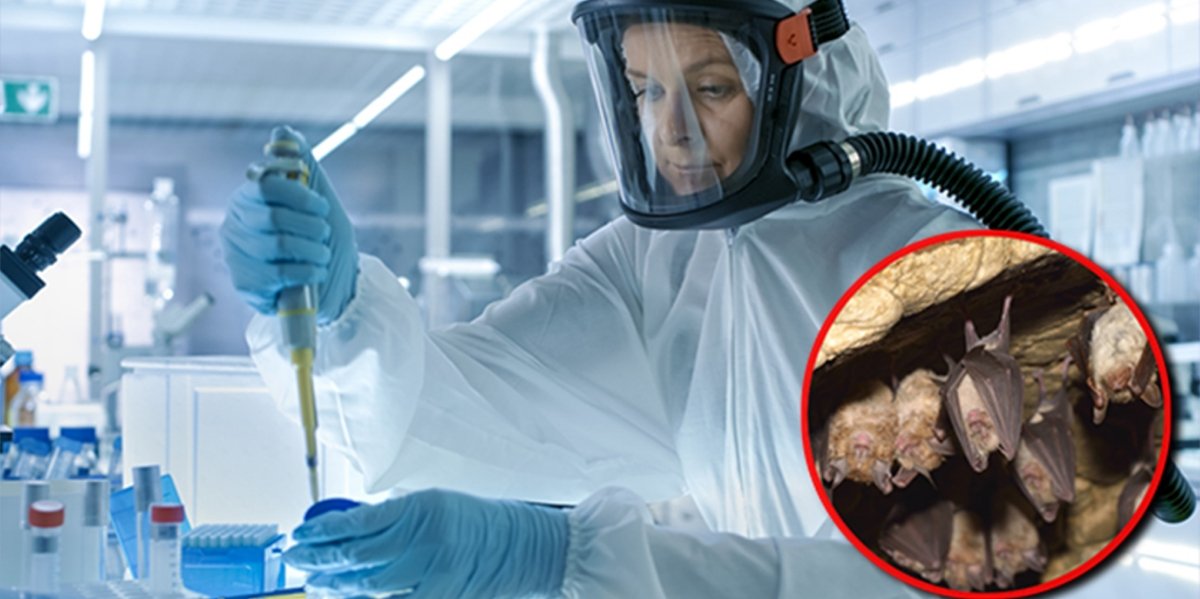 Fauci gives $3.7 million to China