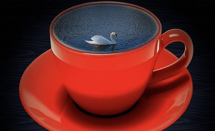 By Dr. Sharyn Wynters