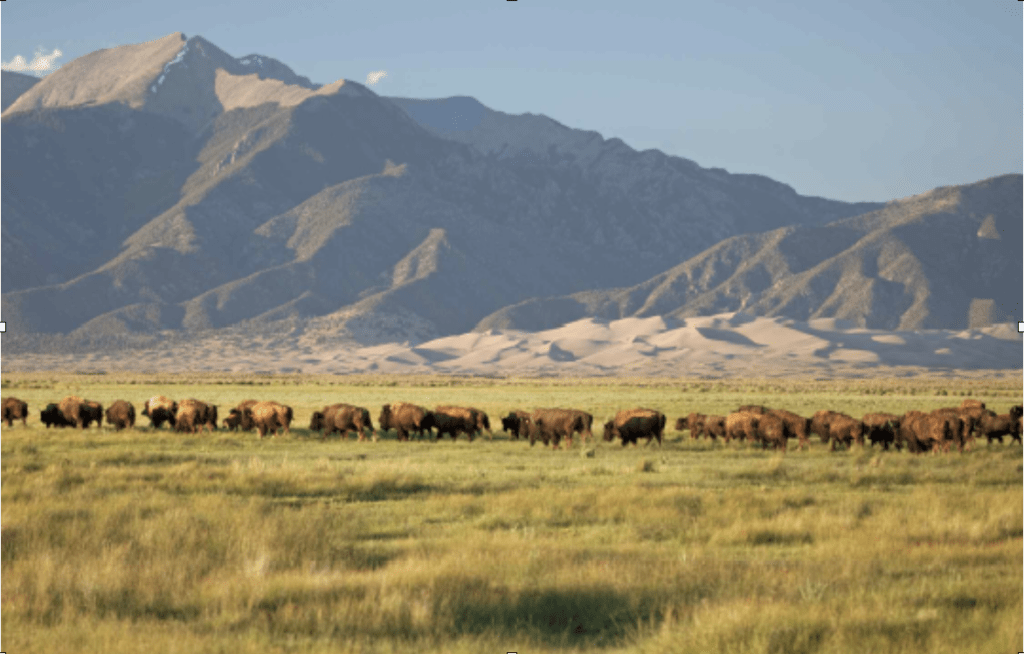 Photo by John Fielder