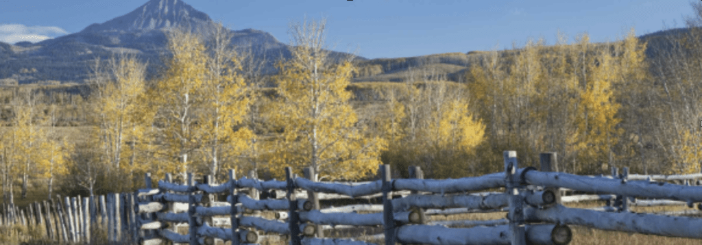 Photo by John Fielder