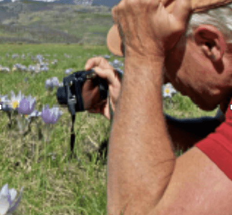 John Fielder Interview