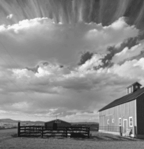 Photo by John Fielder