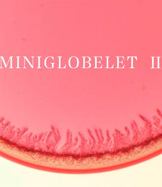 The Beauty of Science