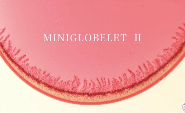 The Beauty of Science