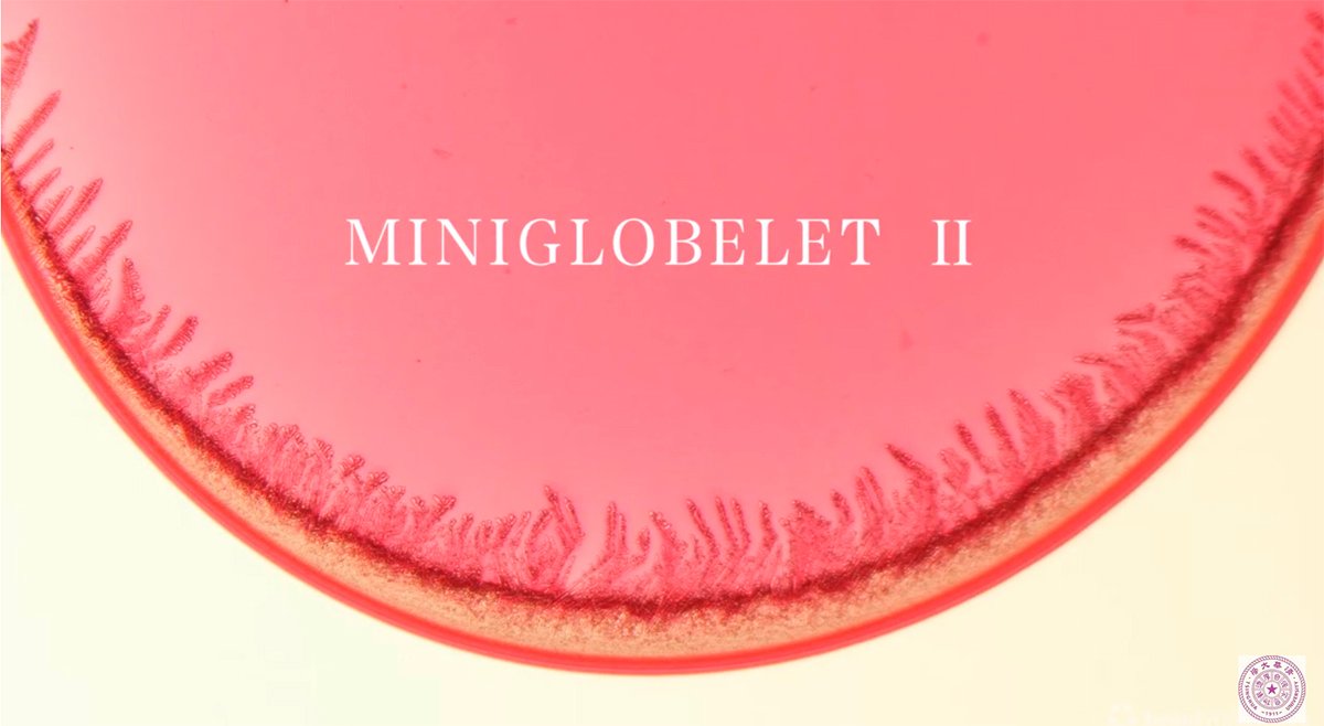 The Beauty of Science